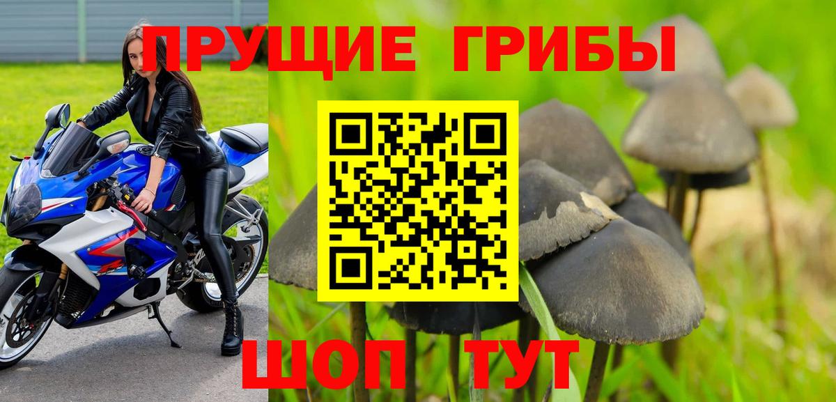 Псилоцибиновые грибы мицелий  Вход с VPN  Псилоцибиновые грибы ЛСД  Нефтекамск 